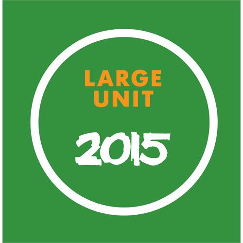 Large Unit (Paal Nilssen-Love) Large Unit 2015 - DLX (2CD+Bok)